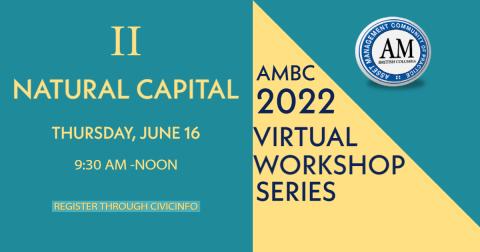 AMBC 2022 Virtual Workshop Series